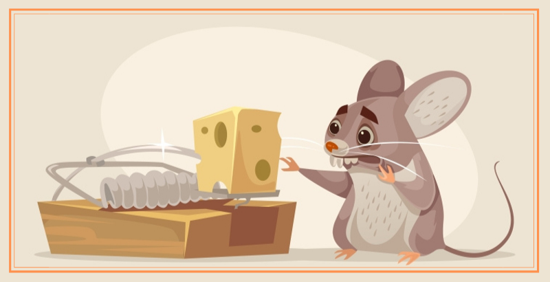 DERATTIZZAZIONE CASA: LE TRAPPOLE DA UTILIZZARE