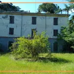 MARF E LA SUA VILLA TESORO