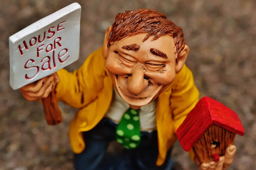 AGENTE IMMOBILIARE: COME OPERA?