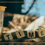 Contratto di locazione transitoria: tutto ciò che c'è da sapere