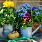 PIANTE FACILI DA COLTIVARE IN GIARDINO