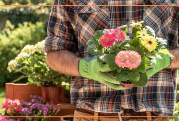 accessori per il giardino