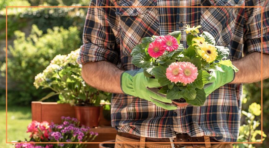 accessori per il giardino